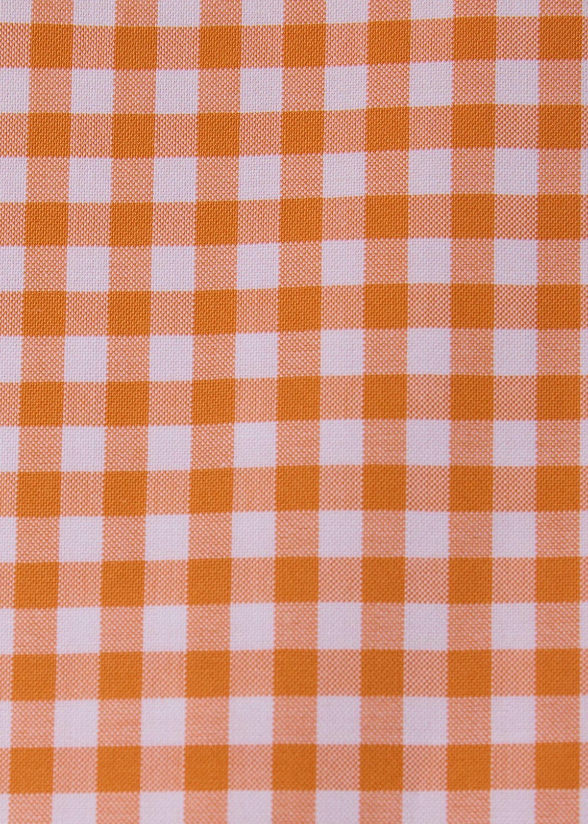 Gingham Button Down Shirt - Paul Stuart Best Seller