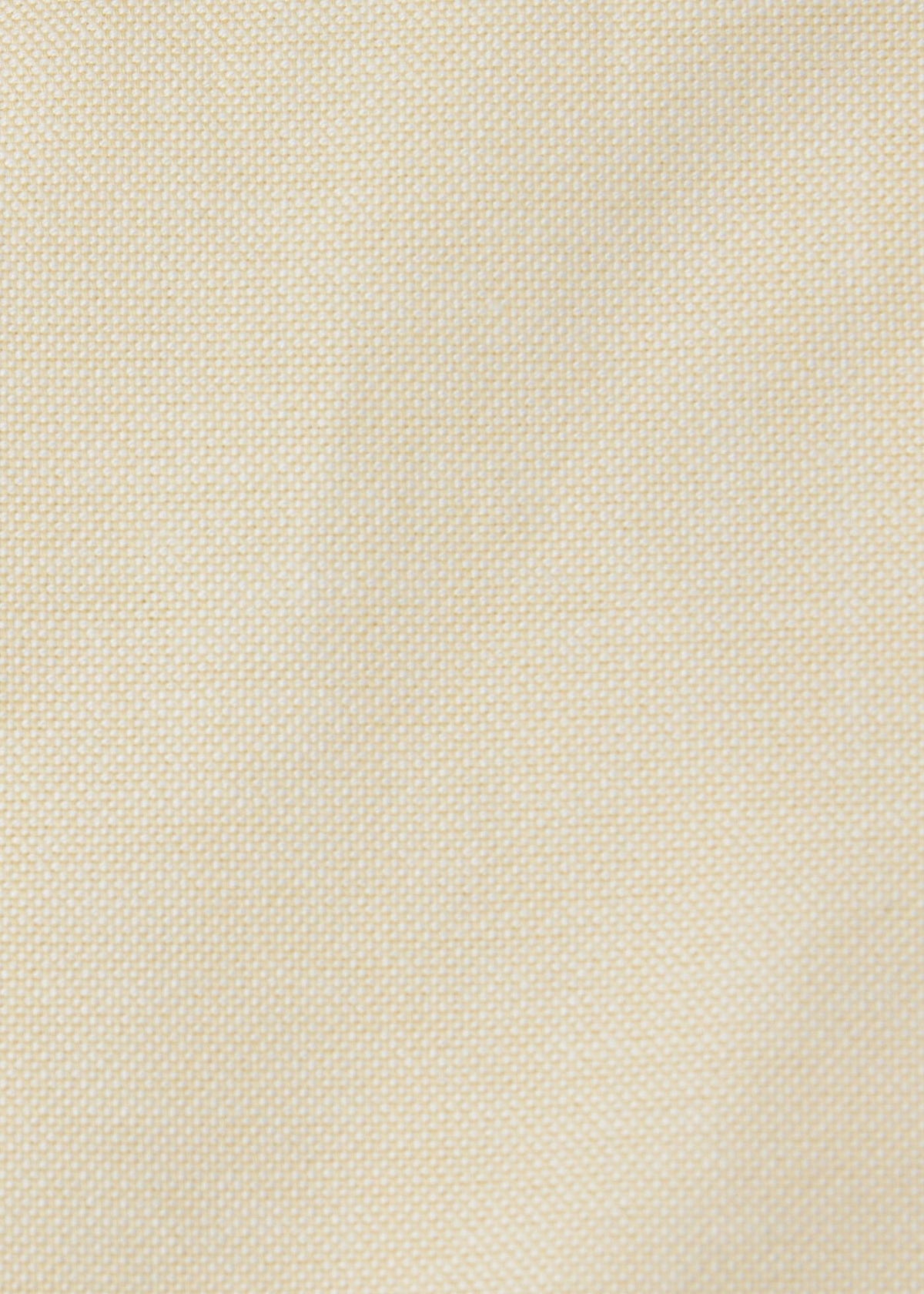 Oxford Button-Down Shirt - Paul Stuart Exclusive