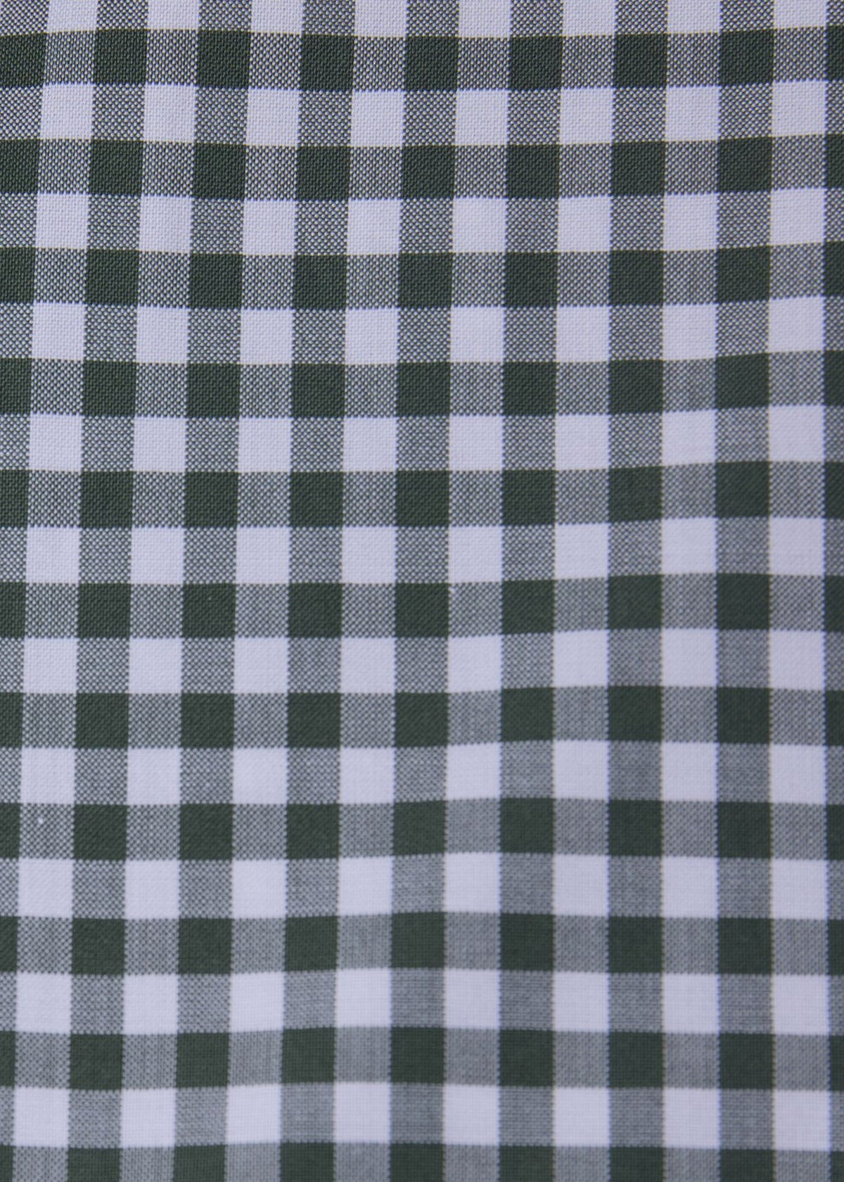 Gingham Button Down Shirt - Paul Stuart Signature