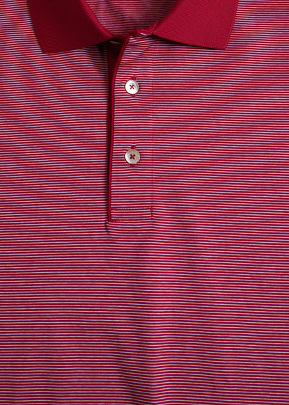 Italian Cotton Micro Stripe Polo - Paul Stuart Latest