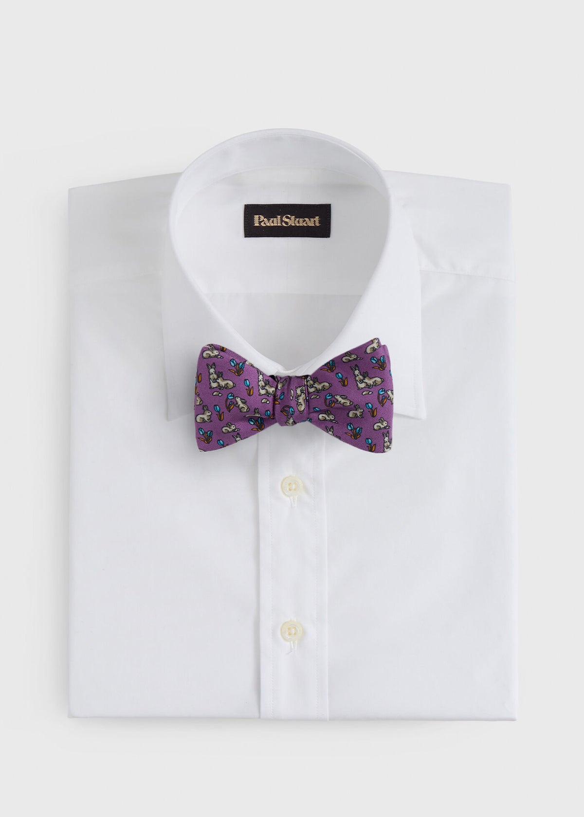 Silk Printed Bow Tie - Paul Stuart Classic