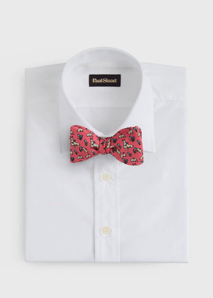 Silk Printed Bow Tie - Paul Stuart Best Seller