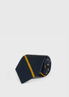 Blue/Gold