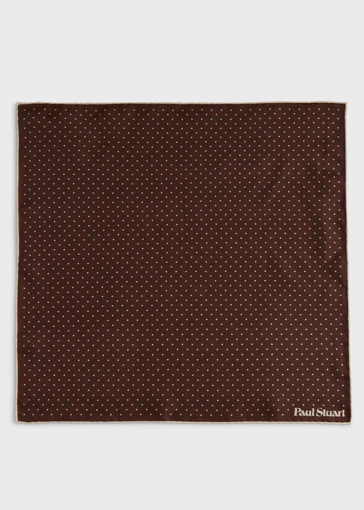 Printed Silk Dot Pocket Square - Paul Stuart Top Pick