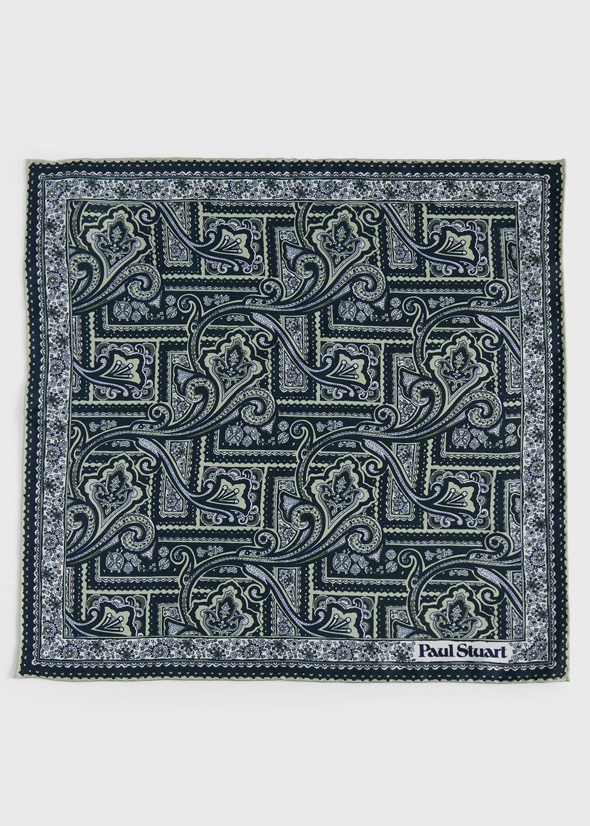 Printed Silk Paisley Pocket Square - Paul Stuart Featured