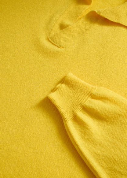 Wool Johnny Collar Pullover - Paul Stuart Recommended