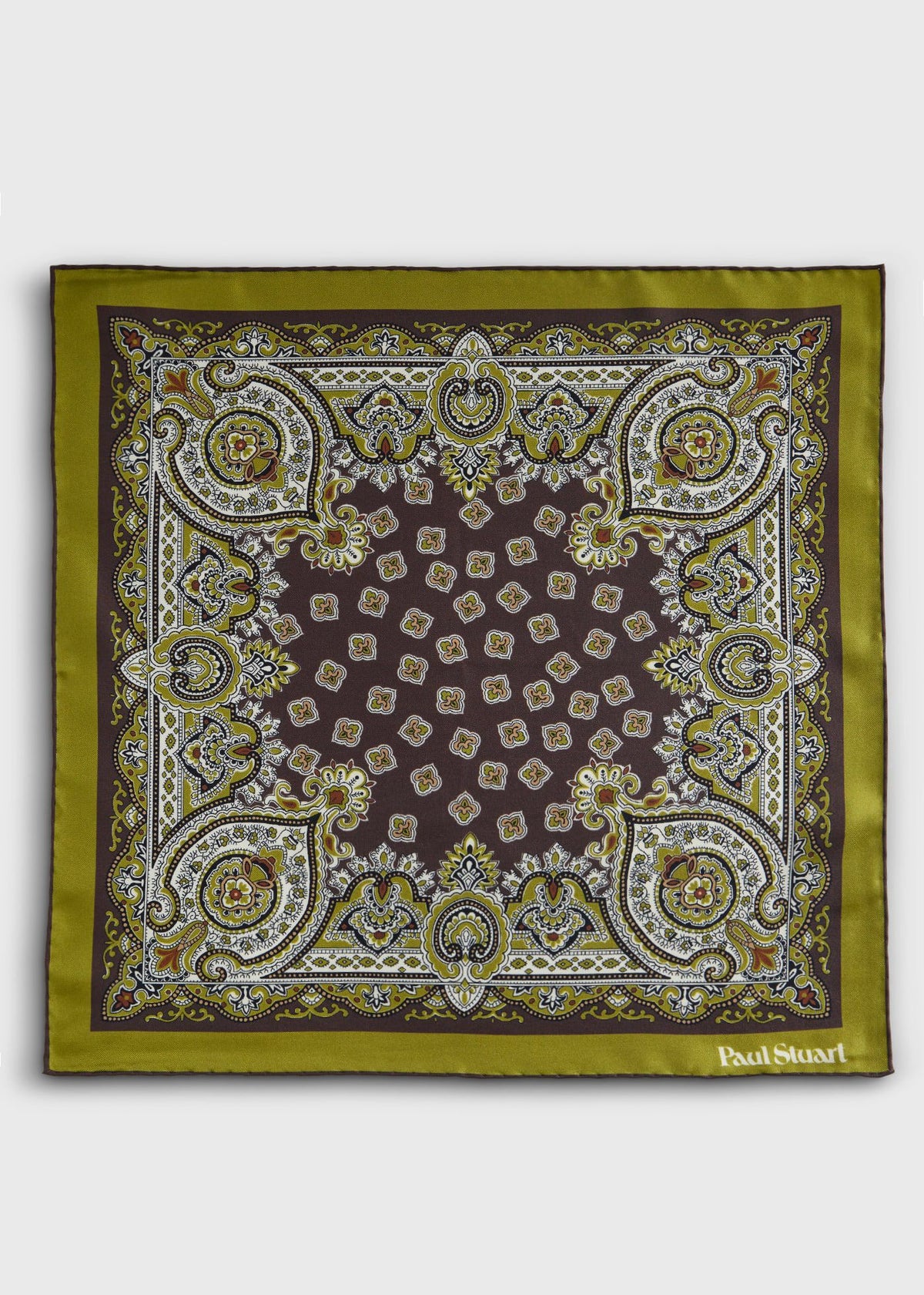 Ornate Print Pocket Square - Paul Stuart Trending